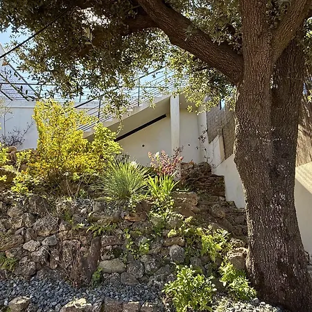 De Standing Avec Piscine Chauffee & Panorama Villa Saint-Raphaël